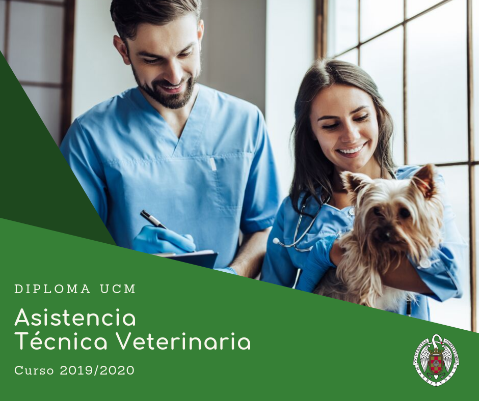 Curso de Asistencia técnica en clínicas veterinarias. Parte I
